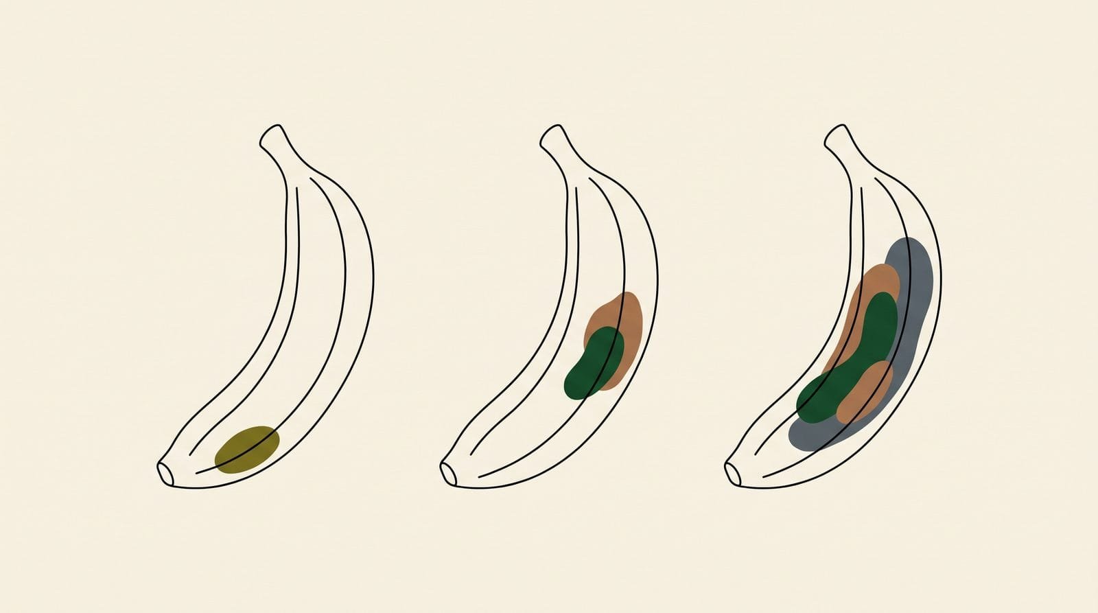 Three bananas side by side showing increasing areas of skin blemish for Extra, Class I and Class II