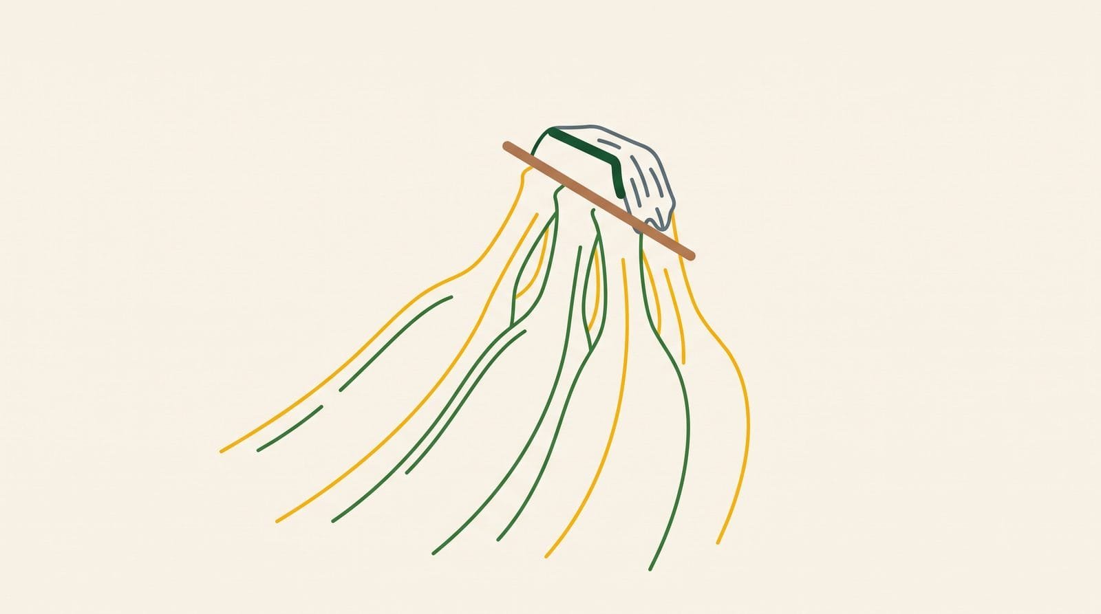 Diagram of a four finger banana cluster with a cleanly cut crown highlighted