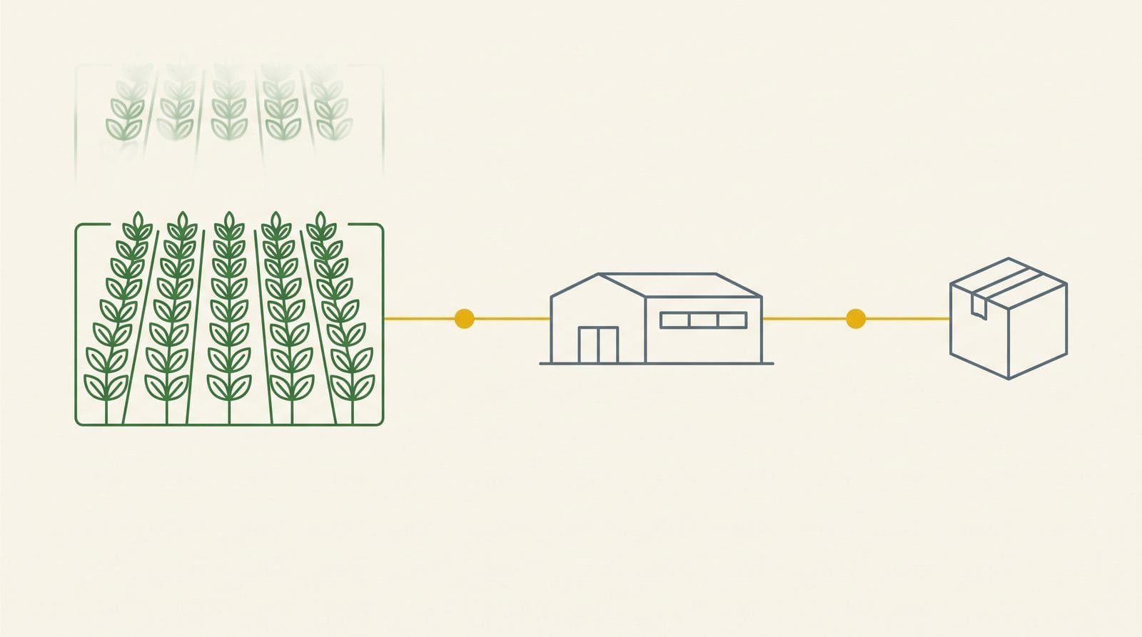 Diagram linking a banana orchard block and a packing house to a single sealed export carton