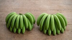 Pisang berangan vs cavendish: a short dense local hand beside a long graded export hand