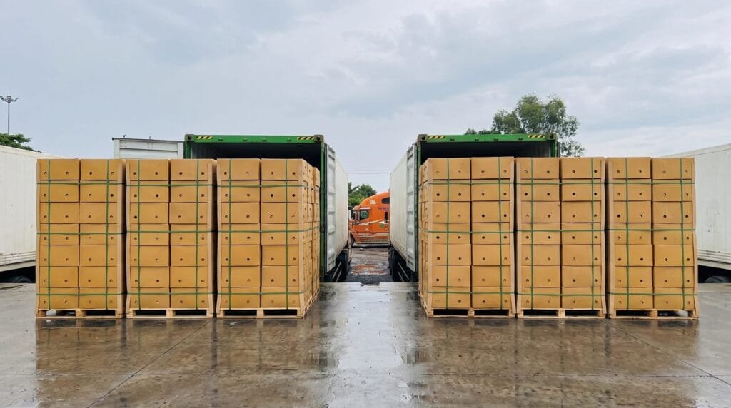 Vietnam vs philippines banana sourcing: two sets of export cartons staged side by side on a quay