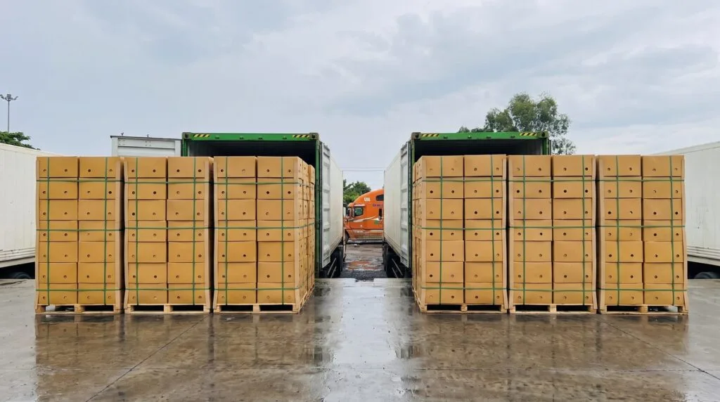 Vietnam vs philippines banana sourcing: two sets of export cartons staged side by side on a quay
