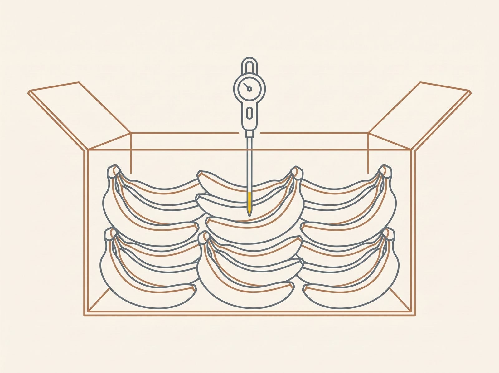 Line diagram of a probe thermometer inserted into a banana finger inside an opened carton