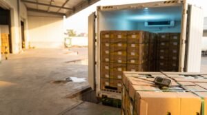 Banana quality inspection on arrival: open container doors with stacked banana cartons at a receiving bay