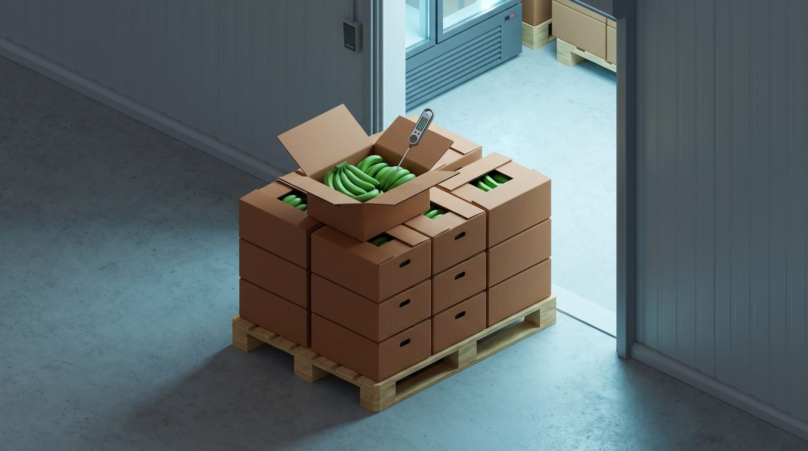 Pallet of banana cartons at a cold store doorway with a handheld probe thermometer in an open carton
