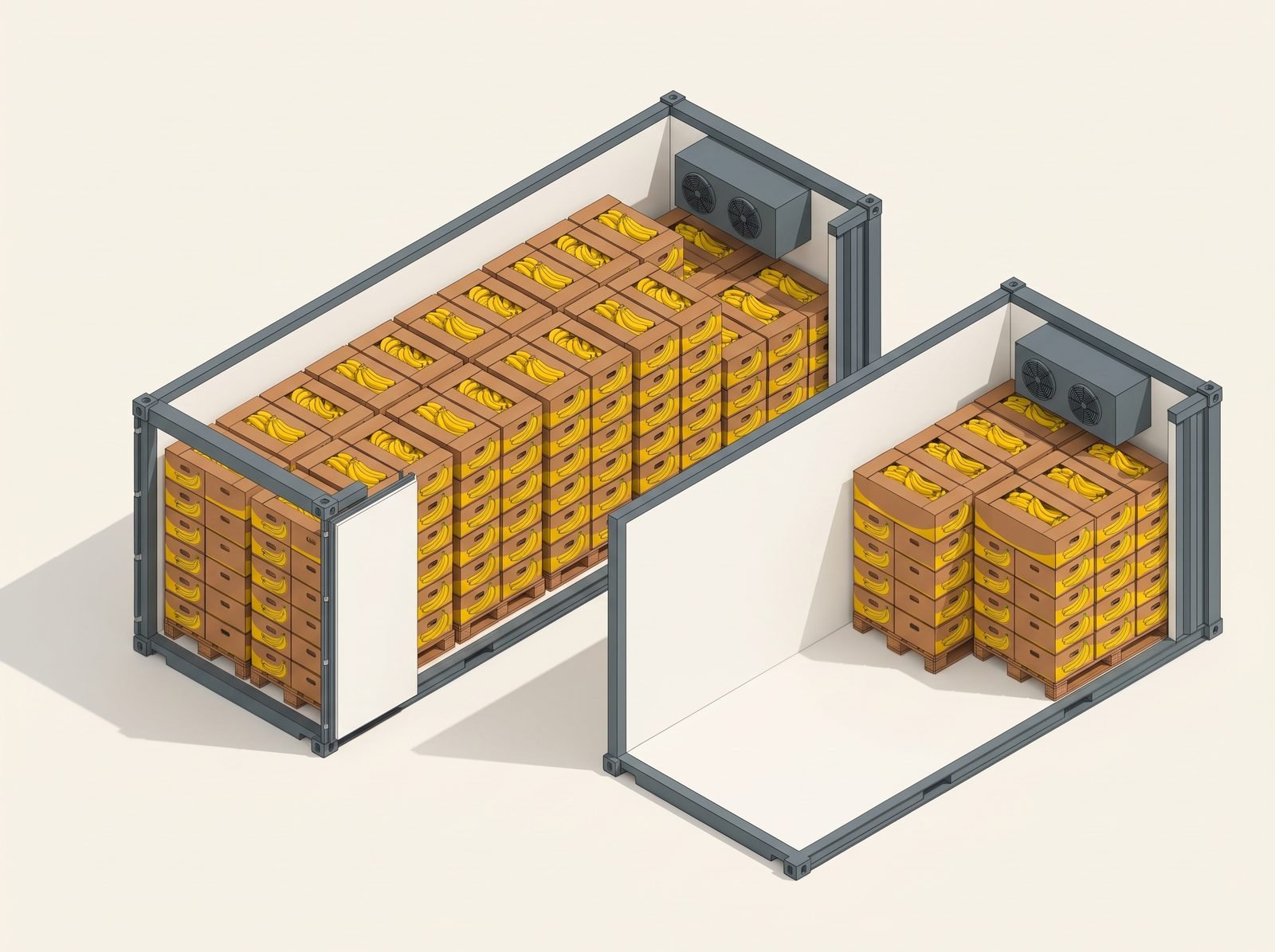 Isometric comparison of a twenty foot and a forty foot reefer with stacked banana cartons