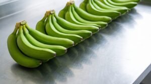 Why singapore banana prices are higher: retail-grade banana hands graded to one tight size window